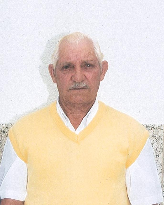 AmadeuAlcinoGonalves