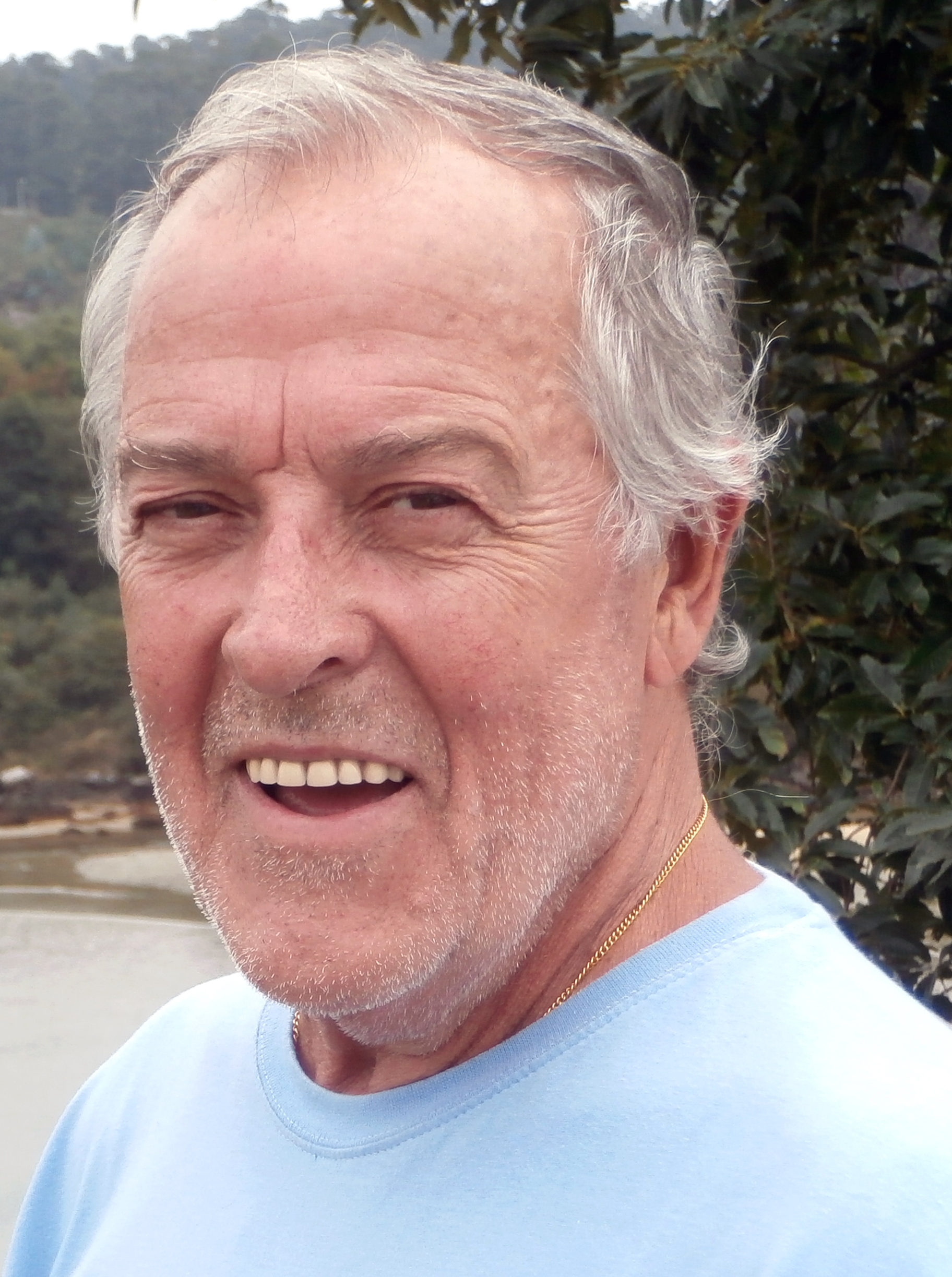 CarlosReisDeSousa