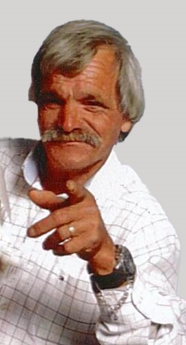 JoseFariadaSilva