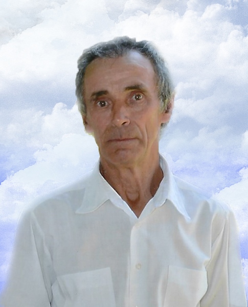 ManuelQueirosDeAraujoSilva