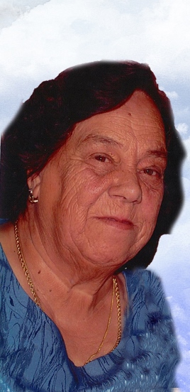 MariaJoseEstrelaRodrigues