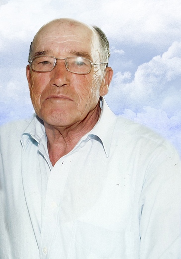 RaulJesusPereira