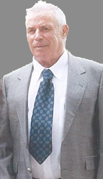 RaulJoaquimPereiraDaSilva