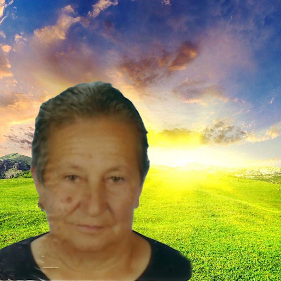 muraIreneDeSousaeSilva