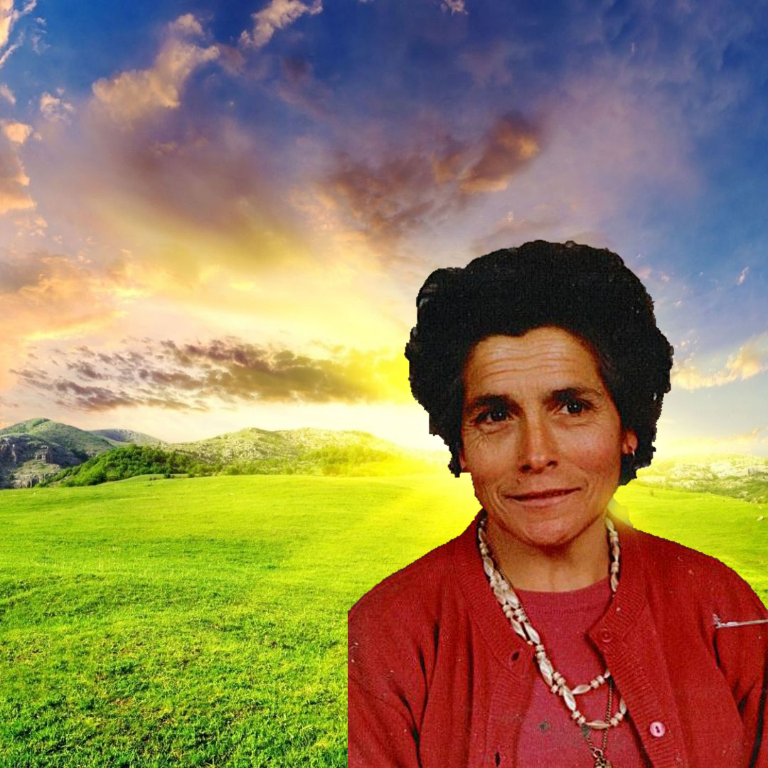muralAlbinaRosaDeOliveira