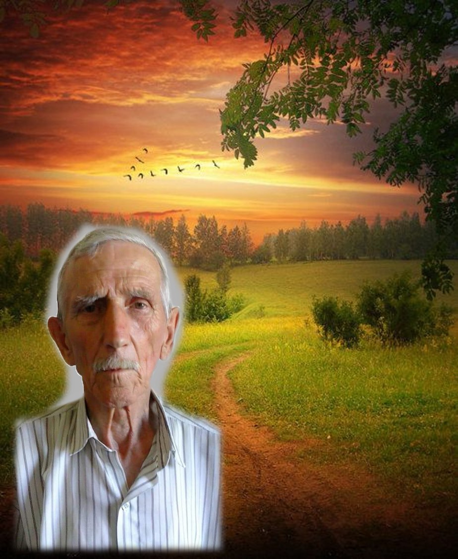 muralAugustoDaSilvaOliveira
