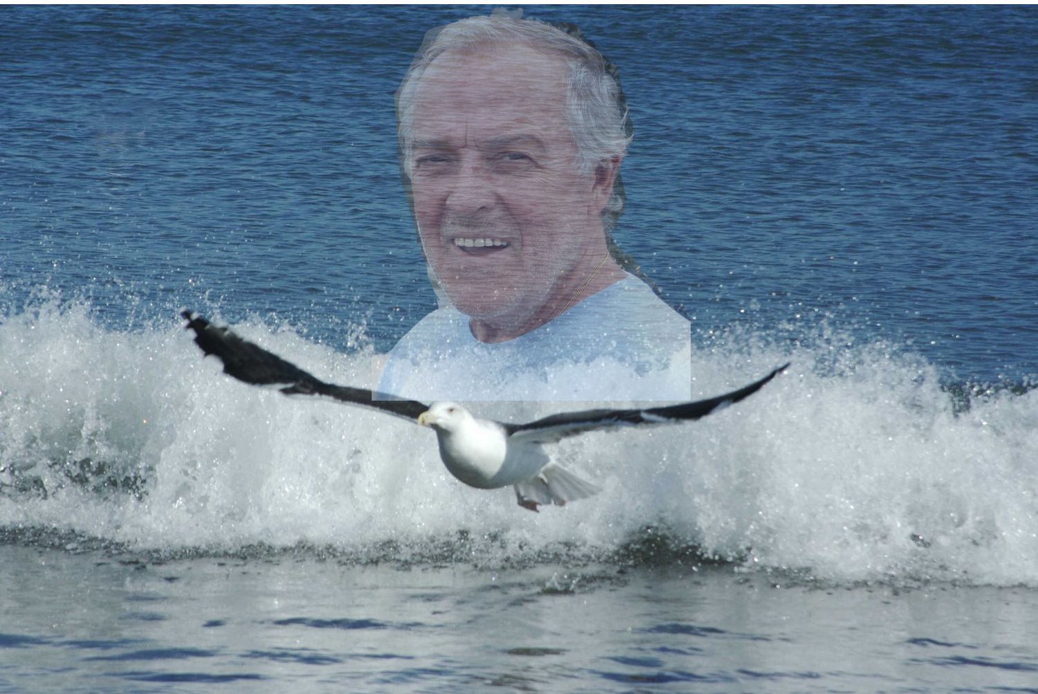 muralCarlosReisdeSousa