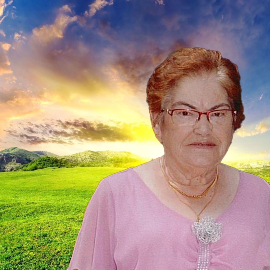 muralCarmindaSantosDeAlmeida