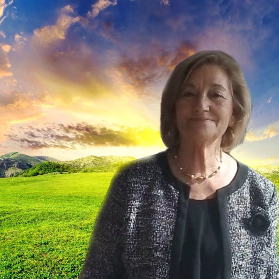 muralElseIreneDosSantosRodrigues