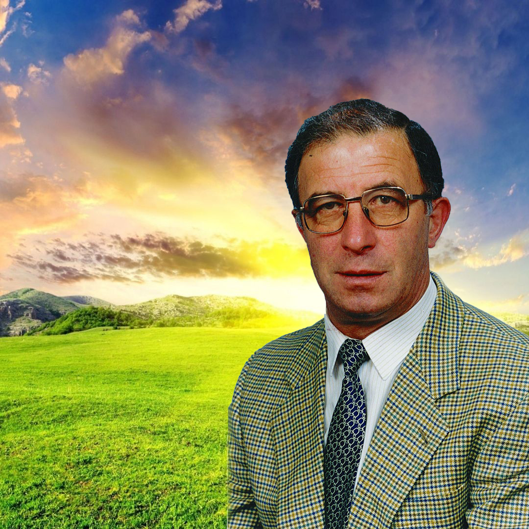 muralManuelJoaquimda Silva Pinheiro