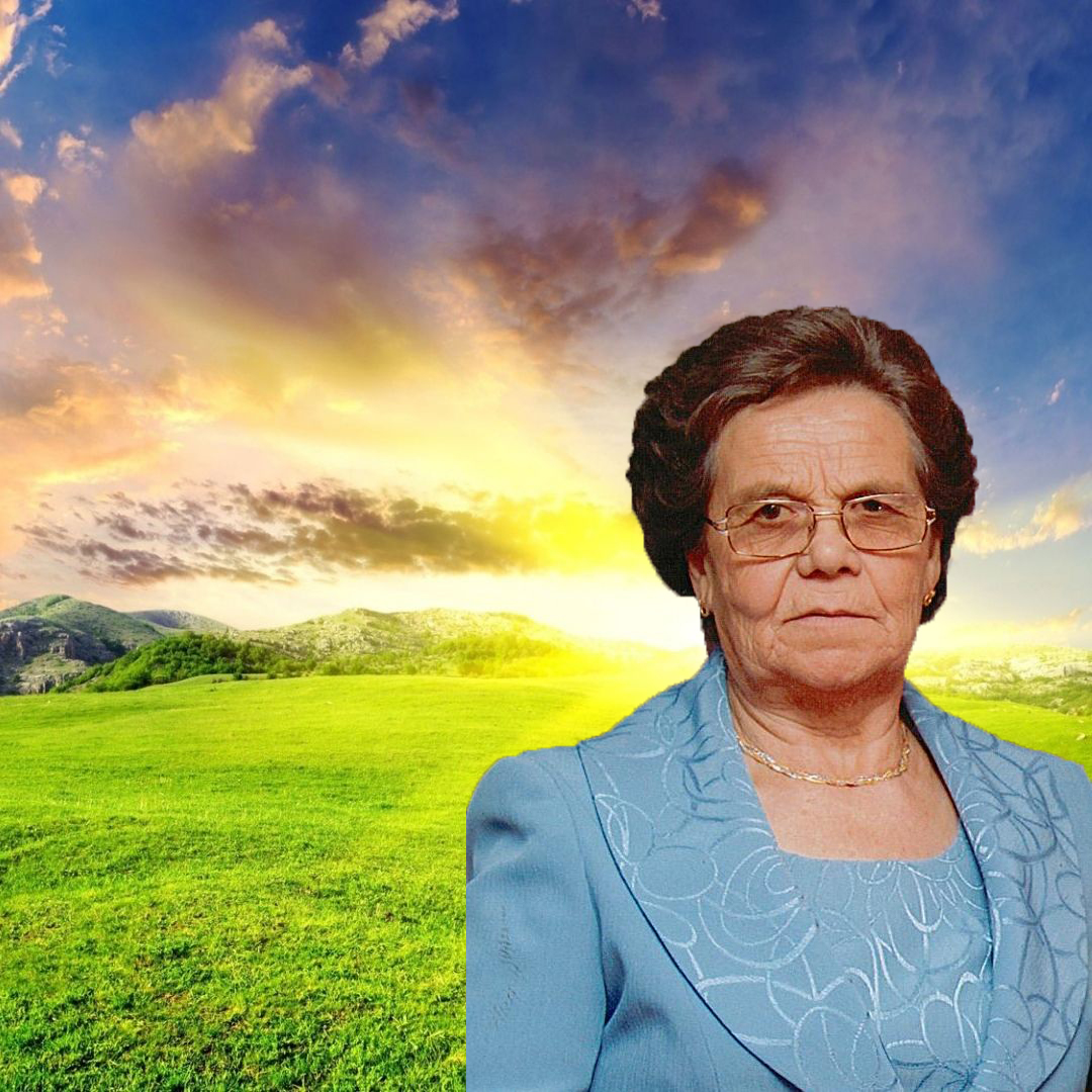 muralMariaAlcindaDaSilvaMaia